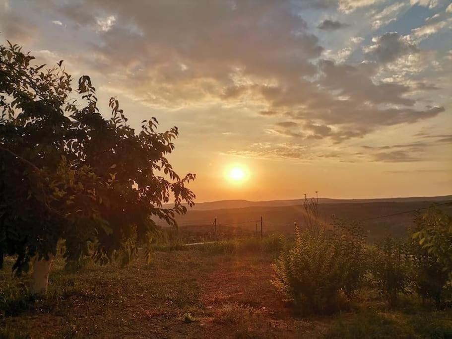 Dimitra'S Sunny Villa Mirsinochori Kültér fotó